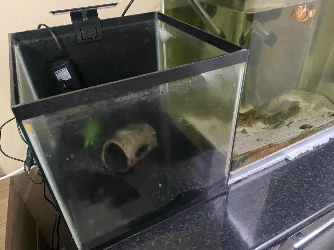Aquário cubo