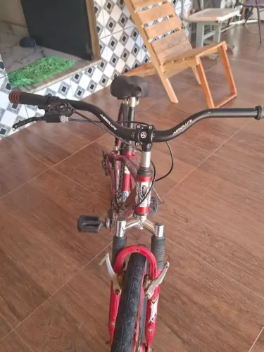 Bicicleta Aro 24