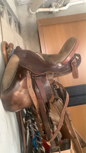 Sela australiana