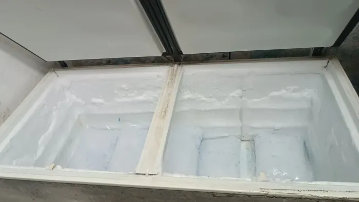 Freezer vertical 