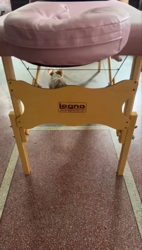 Maca legno portátil