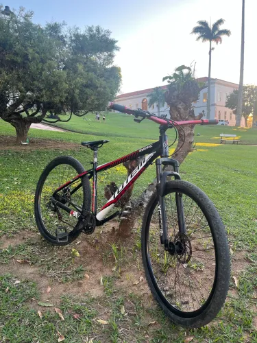 Bicicleta Totem
