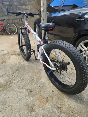 Fat bike