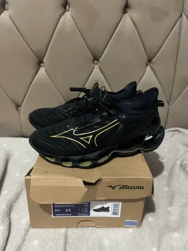 Mizuno prophecy 14
