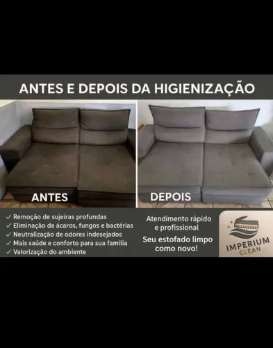 Higienização a seco 