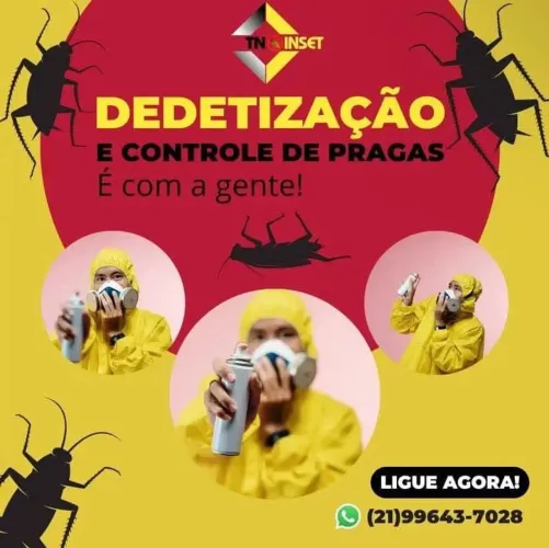 DEDETIZAÇÃO SEM CHEIRO