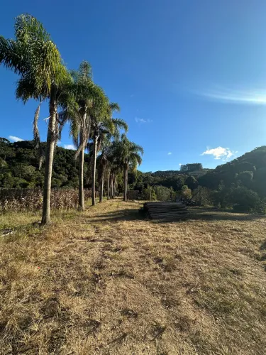 Sítio à Venda em Angelina/SC - Natureza, tranquilidade e excelente potencial produtivo!