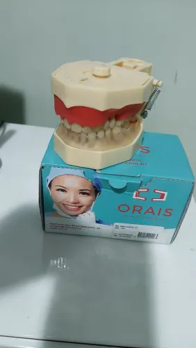 Manequim Odontologico