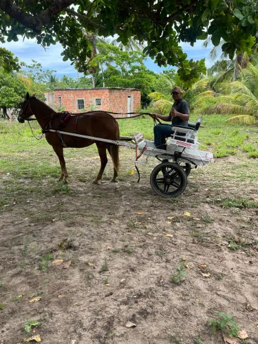 Linda charrete já com a potra 
