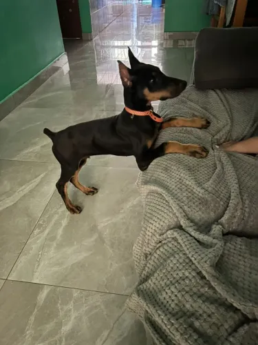 Vemdo ou troco 