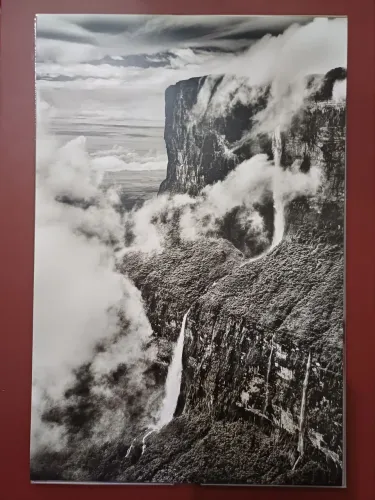 Foto Sebastião Salgado com certificado.