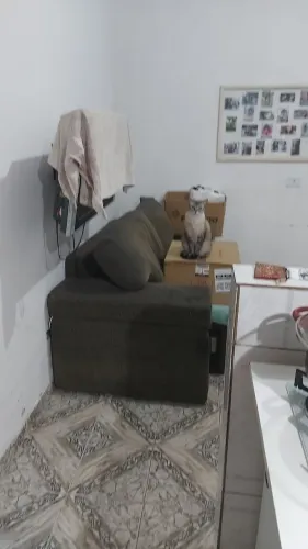 Doações de roupas, brinquedos, 2 ventiladores e um sofá