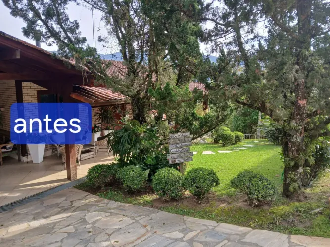 Jardinagem poda de árvores paisagismo em geral