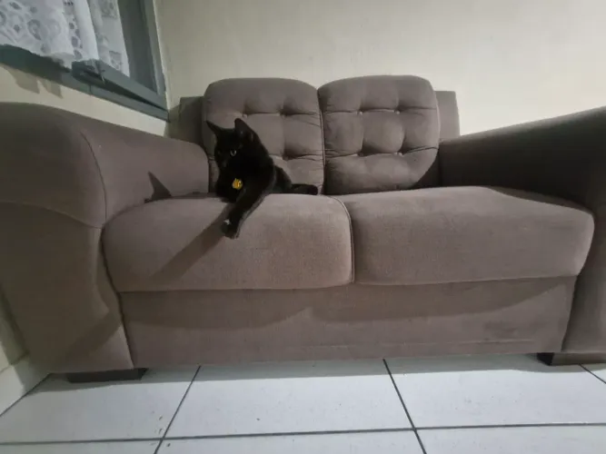 Sofá de dois lugares