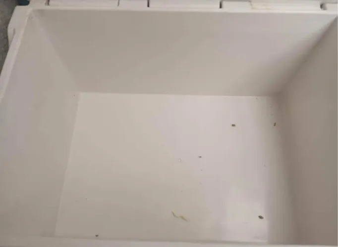 Cooler /caixa térmica 50 litros
