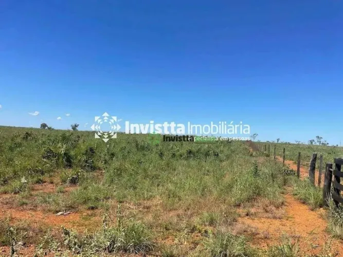 Fazenda de 203 alqueires com topografia 100% plana em Cristatândia/TO