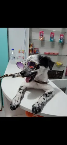 Doação 