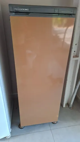 Frizzer vertical 