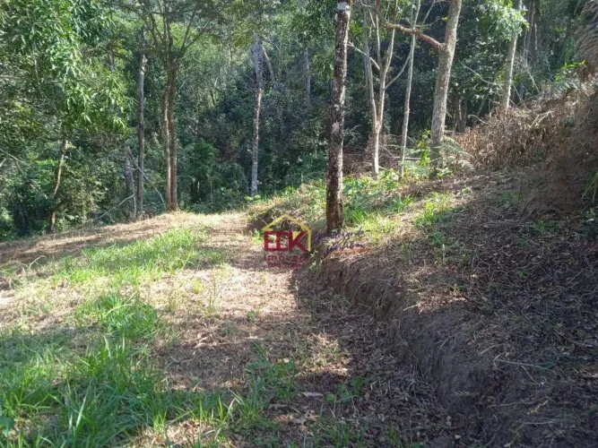 Terreno à venda, 20000 m² por R$ 265.000 - Serrinha - Monteiro Lobato/SP