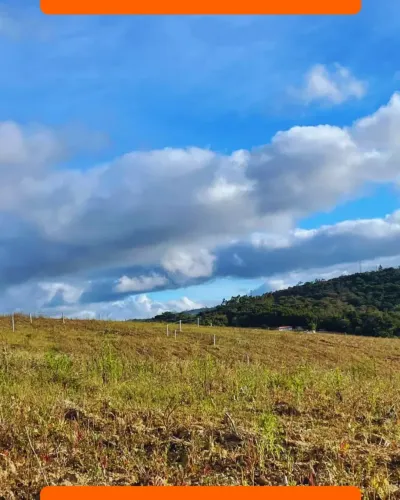 Fácil acesso pela Raposo Tavares
