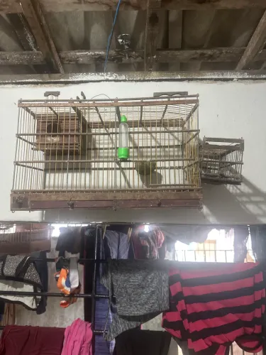 ROLO EM CORRENTE DE PRATA