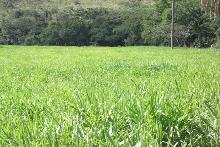 Áreas de 1.100 metros próximo ao Rio (Serra do cipó)
