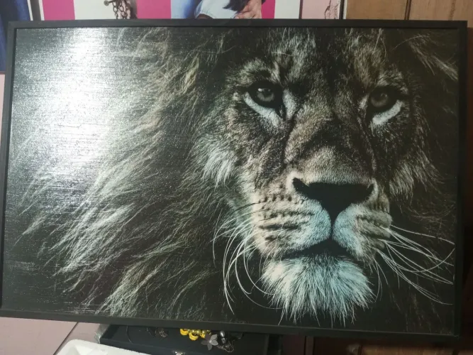 Quadro do leão lindo ,arte unica