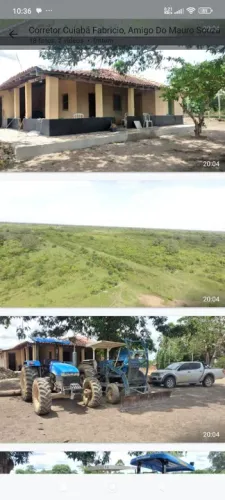 Fazenda arrendamento pra Gado, 18 mil hec pasto. Ver tabela abaixo