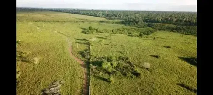 Vendo Fazenda em Bragança-Pa