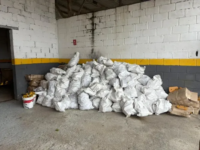 Lote de Tachinhas e Tachões de Sinalização Rodoviária