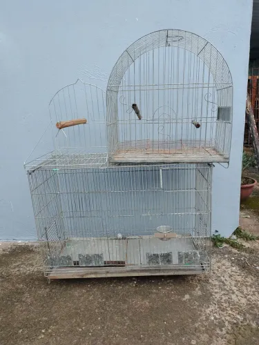 Gaiolas para passaros