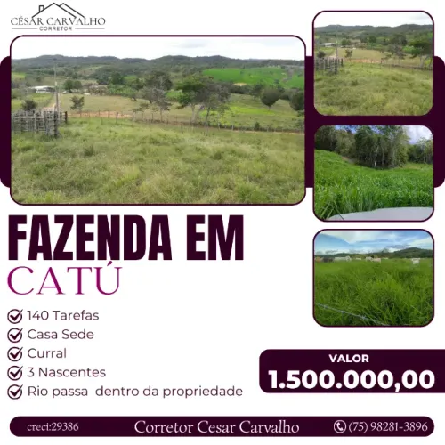 FAZENDA EM CATÚ -140 TAREFAS