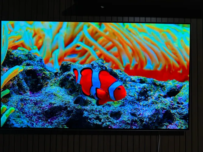 Smart Tv OLED LG