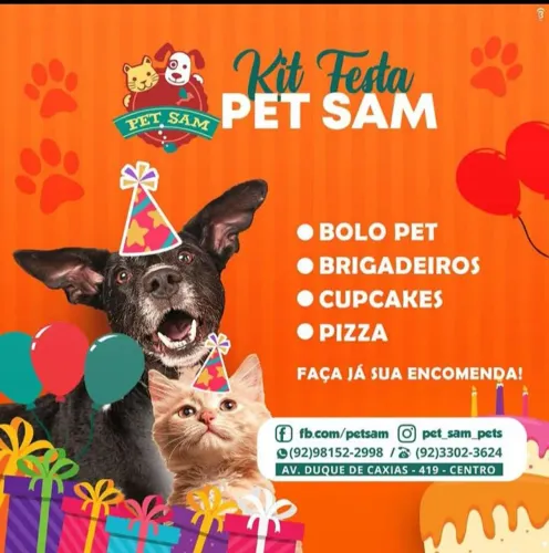 Bolo e kit festa para cães e gatos 