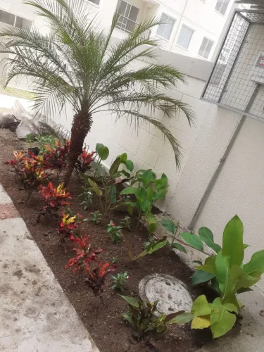 Serviço jardineiro