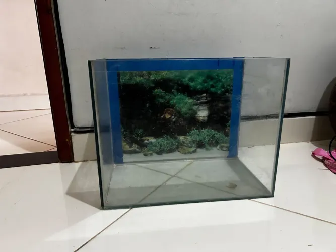 Aquário 