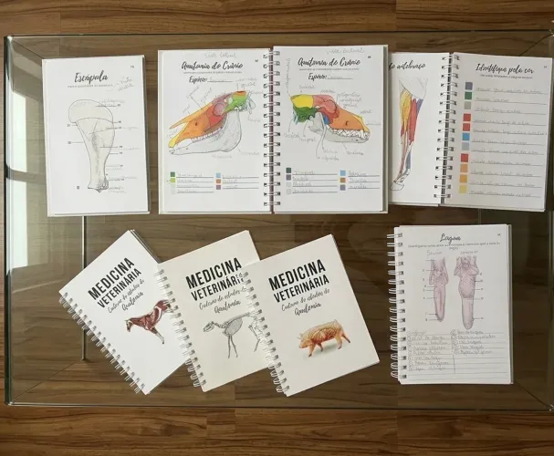 OPORTUNIDADE: Kit Vetbook Anatomia (Vols. 1, 2 e 3)