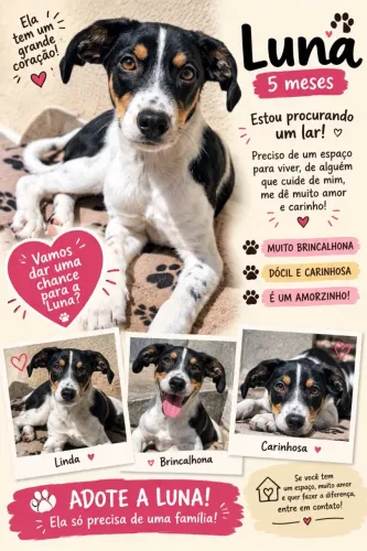 Doa se uma cachorrinha 5 meses