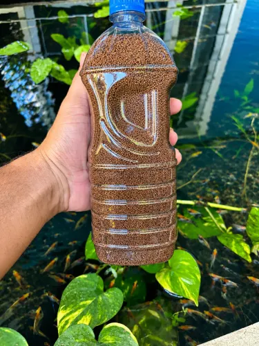 Ração para peixes Guabi P45