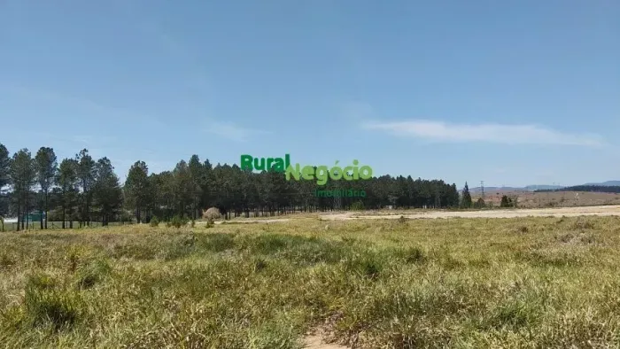 Área para empreendimentos à Venda em Lorena-SP Frente Marginal Via Dutra