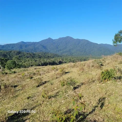 Fazendas para venda em Cananeia no bairro Itapitangui