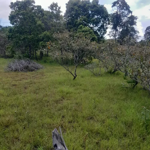 Vendo Terreno em Mosqueiro