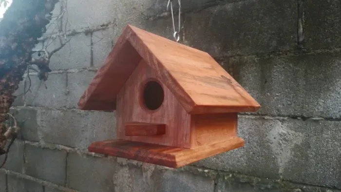 Casinha de Madeira para Passarinhos (Entrego só em Taubaté)