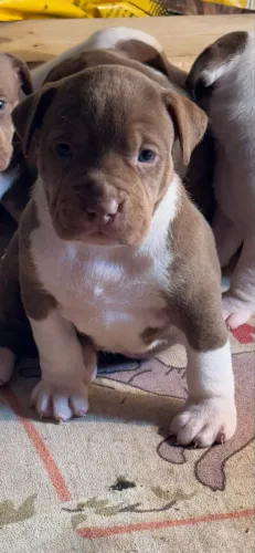 Pit monster
