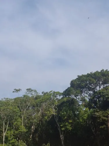 VAGA DE CASEIRO EM SÃO PAULO