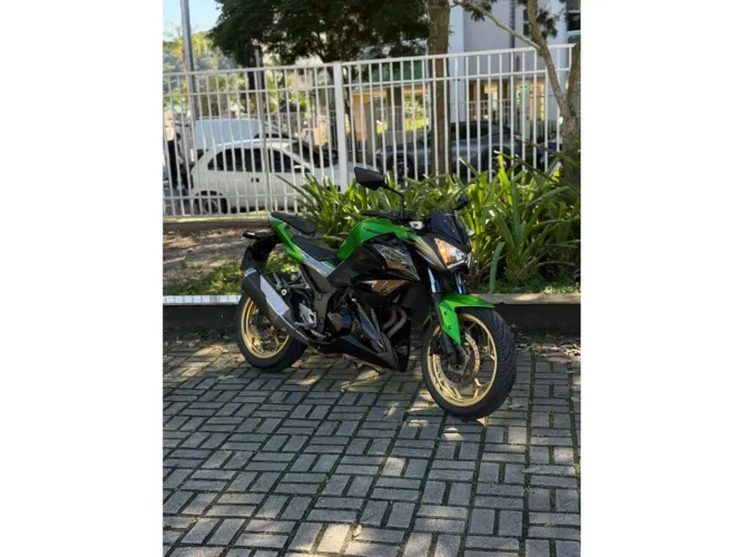 Kawasaki Z300 2018
