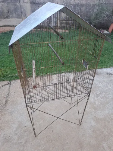 Gaiola aves