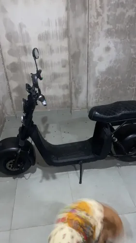 Scooter Elétrica Shineray PT3 2000W - Oportunidade / Estado de Zero