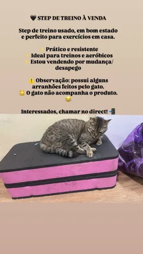 STEP para treino