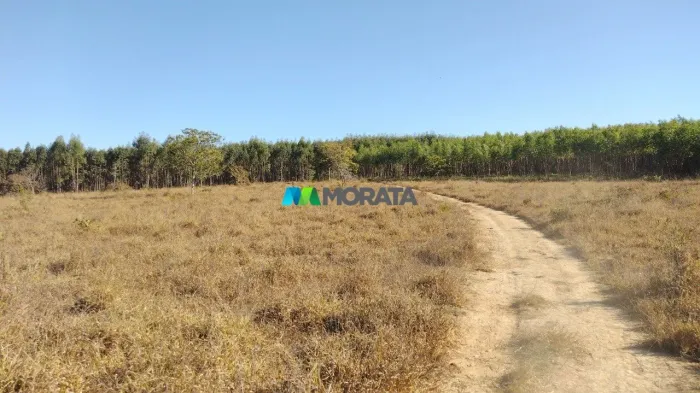 FAZENDA À VENDA - 285,50 HECTARES - ABAETÉ (MG)